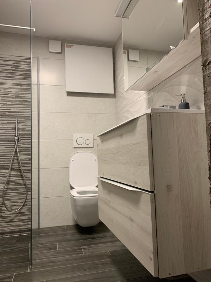 Apartma Sinitus 伊佐拉 外观 照片